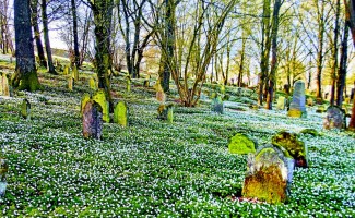Nicht nur wunderschön, sondern wie alle jüdischen Grabstätten ein Mahnmal gegen das Vergessen: der Friedhof in Schopfloch nahe Dinkelsbühl.
